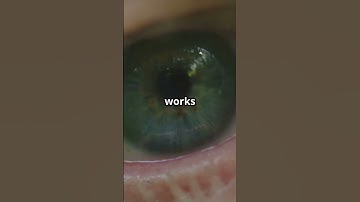 Your Brain Can Predict the Future… Without You Knowing #psychologyfacts #facts #brainlearning