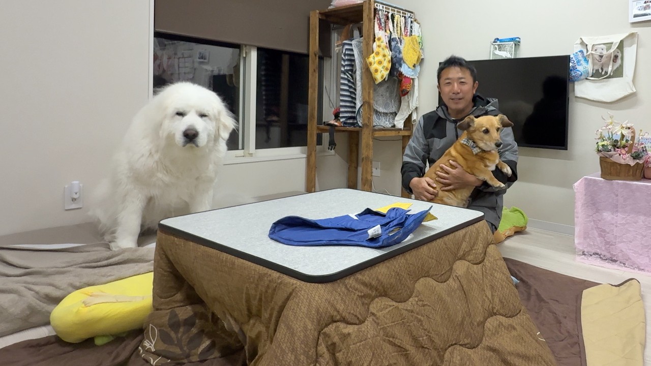 Dagスタッフさん大募集！