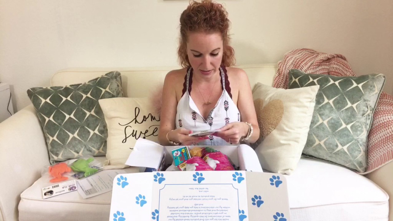 Vet Pet Box Review and Unboxing LIVE YouTube