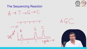 Ion Torrent and Nanopore Sequencing #swayamprabha #ch17sp
