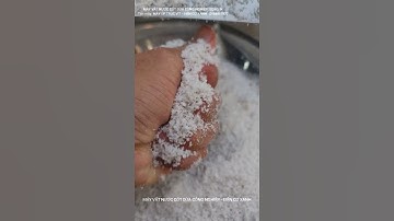 Máy vắt nước cốt dừa 200kg/h - Điện Cơ Xanh 0984467870