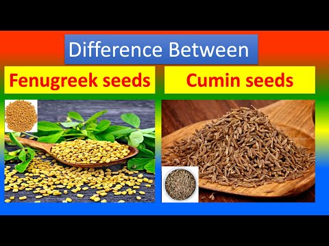 Difference Between Medical and Health benefits of  Fenugreek seeds and Cumin seeds