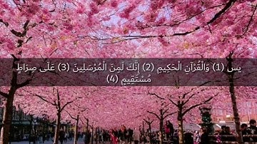 حالات واتس _سورة يس _للقارئ اسلام صبحي
