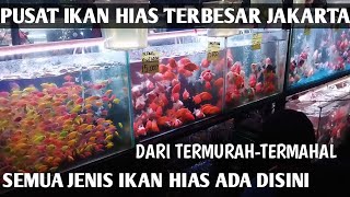 SUASANA PASAR IKAN HIAS TERBESAR JATINEGARA JAKARTA TIMUR