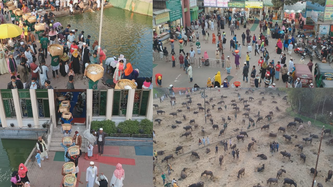 মাইজভান্ডার দরবার শরীফ মহান ১০ই মাঘ ও পবিত্র চেহারাম শরীফ উদ্‌যাপন