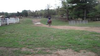 M4H06608.MP4