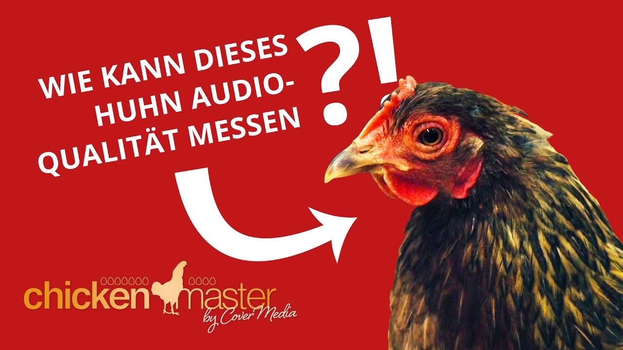 Gackernde Hühner geben den Ton an