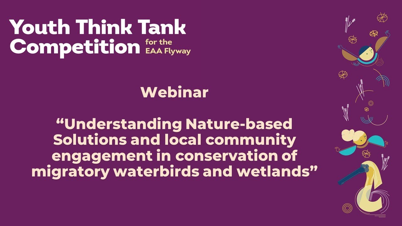 2nd Workshop of Youth Think Tank Competition for EAA Flyway [WEBINAR]