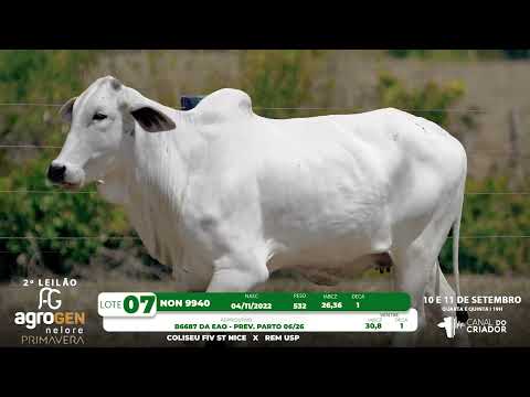 LOTE 07