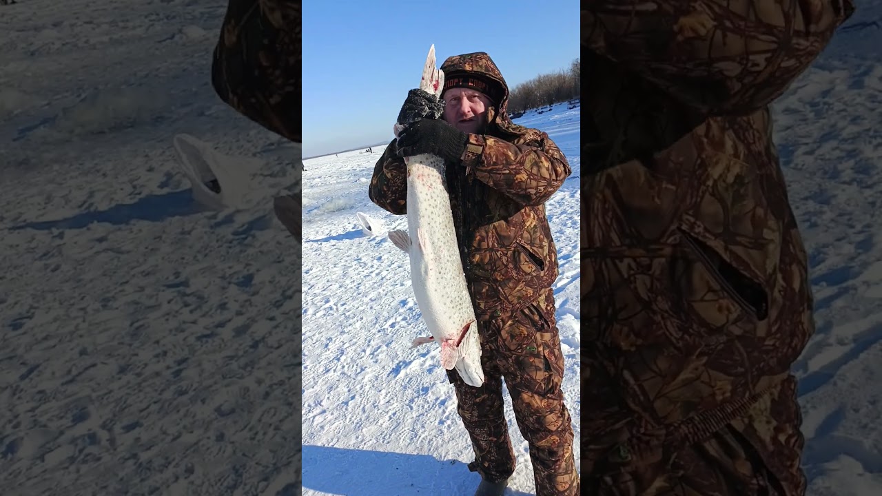 Амур, Сикачи, 08.12.24