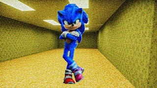 Sonic in Backrooms? (Found Footage)