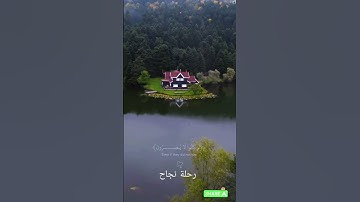 قرآن كريم #quran #shortvideo #قرآن #اكسبلور #lifeslessons #لايك #bestlifelessons #قرآن #راحة_نفسية