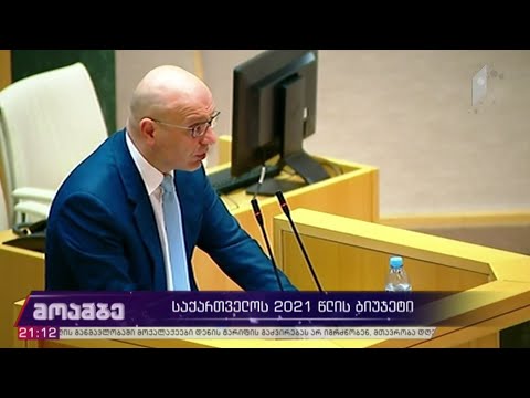 საქართველოს 2021 წლის ბიუჯეტის განხილვა