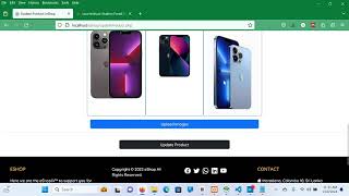 Web Project Task 14 | Program the product updating process