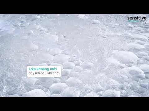 P/S Sensitive - Mode of Action Video - VN