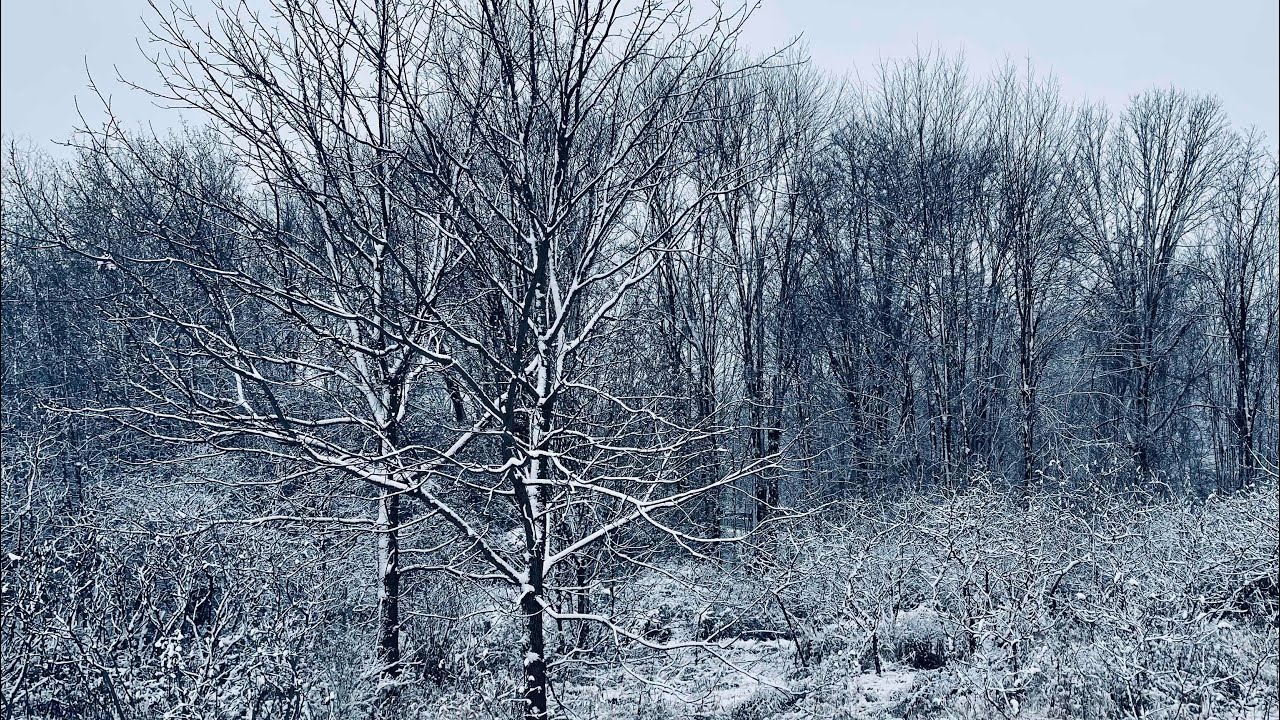 Many Magickal Uses of Snow Water | Neopagan November Day