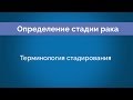 Chapter 5: Терминология определения стадии (Staging Terminology)