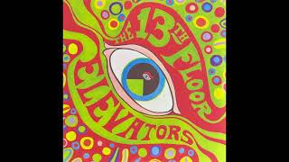 13th Floor Elevators – Tried To Hide