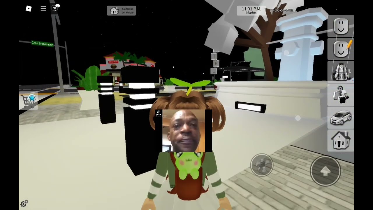 jugando randomente brokh (editado) véanlo plis