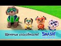 SMASH! Юные супергерои. Сезон 1 - Серия 9.Щенячьи способности - Мультфильм