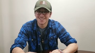 Gecko🦎 VS Skink🦖