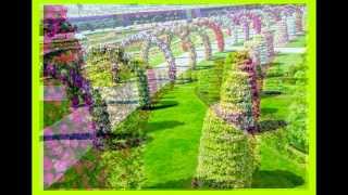 Парк в Дубае Miracle Garden