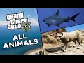 All Animals In Grand Theft Auto V 