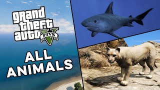 All Animals in Grand Theft Auto V by Petar Iliev 94,385 views 2 years ago 5 minutes, 10 seconds