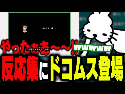 ドコムスチャンネル まとめ売り Docoms finally see 