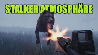 STALKER, WÖLFE & DIE ZONE! - Fear The Wolves (Battle Royale) | Ranzratte