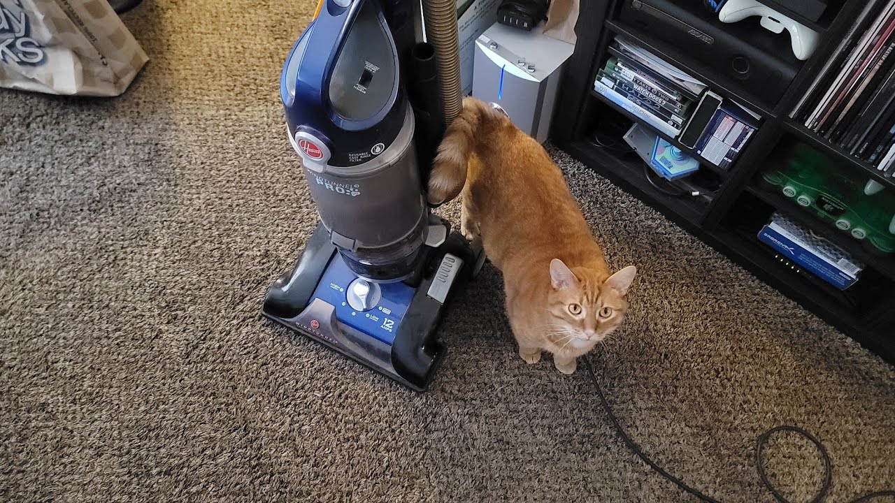 Hoover WindTunnel 3 Pro для сбора вакуума (UH70935)