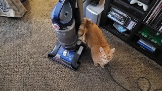 Hoover WindTunnel 3 Pro Vacuum Acquisition (UH70935)