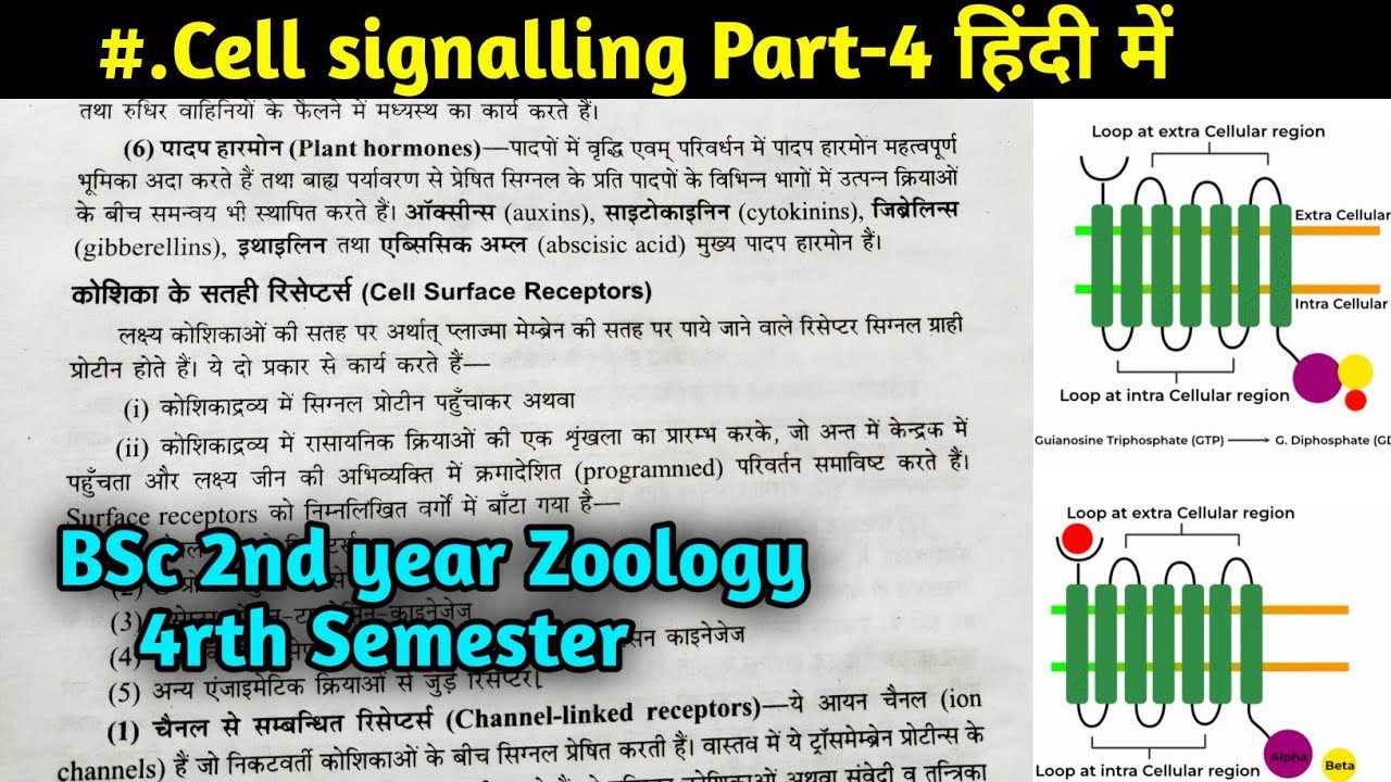 What is Receptors || Cell Surface receptor || Cell Signalling part-4rth ...