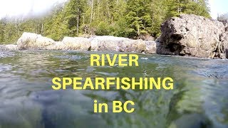 Spearfishing BC in Secret River!