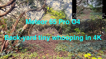 Meteor 65 Pro O4 Tiny Whoop - Backyard Freestyle FPV Fun