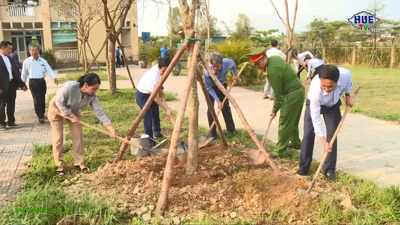 Các địa phương phát động Tết trồng cây năm 2026