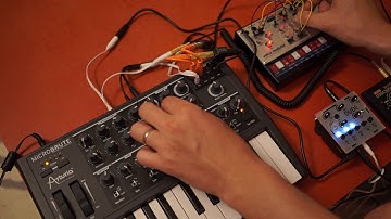 Microbrute x Volca Modular x Monotron - Evening Jam