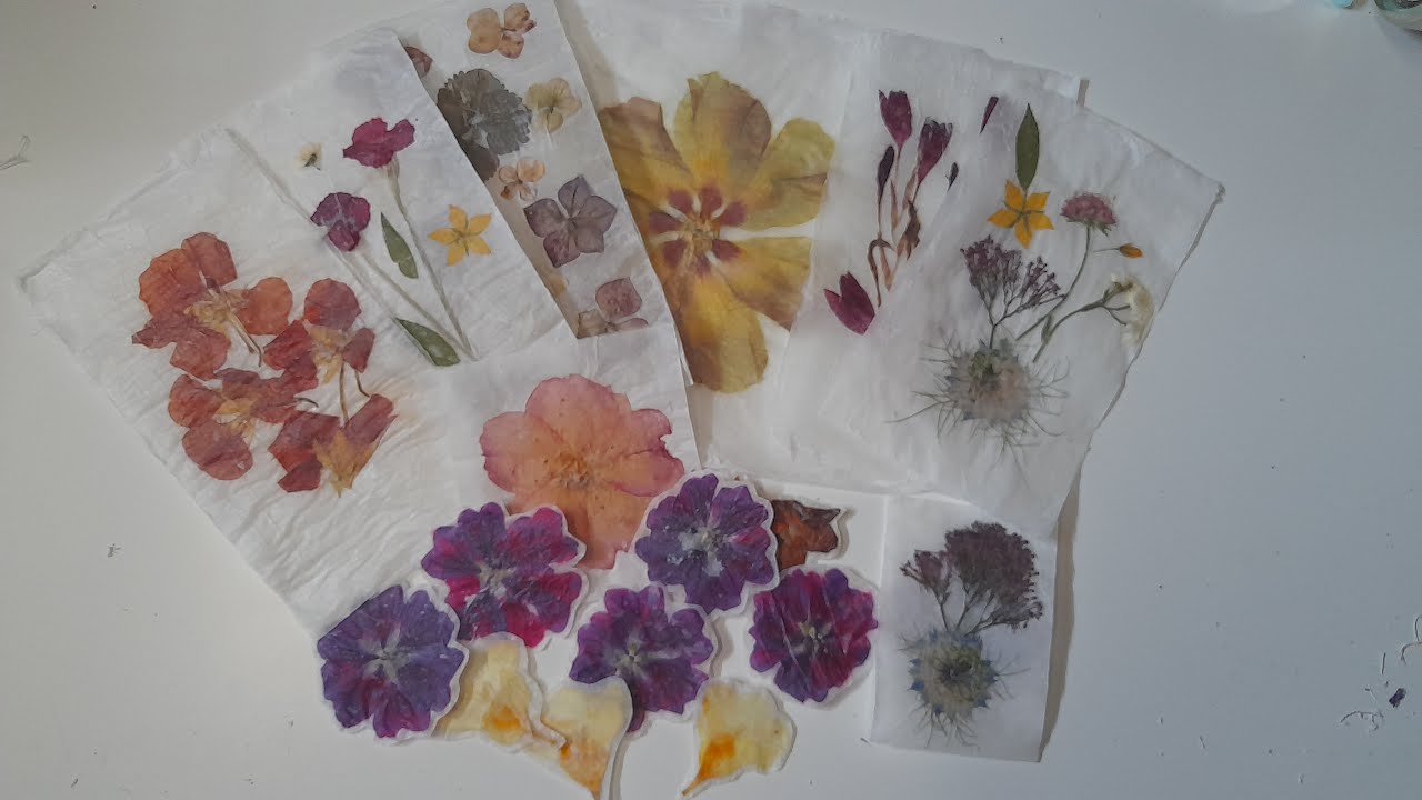 Comment Faire Un Garde Page Avec Des Fleurs Séchées Papier de fleurs séchées : Tuto simple et rapide - YouTube