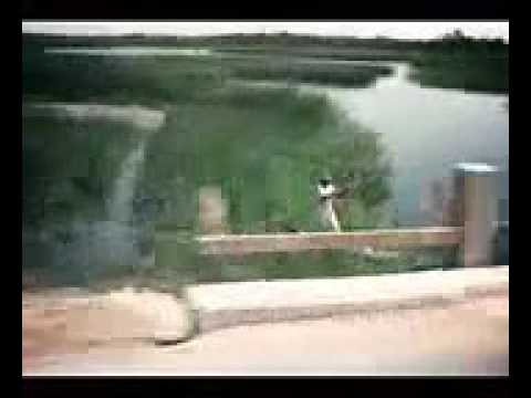 اجمل موال عراقي في اهوار العمارة 