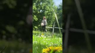 Neues Video jetzt online#hobbyhorsing#shorts#viral#training#vlog