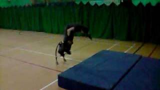 Katy Front Flip Bocking
