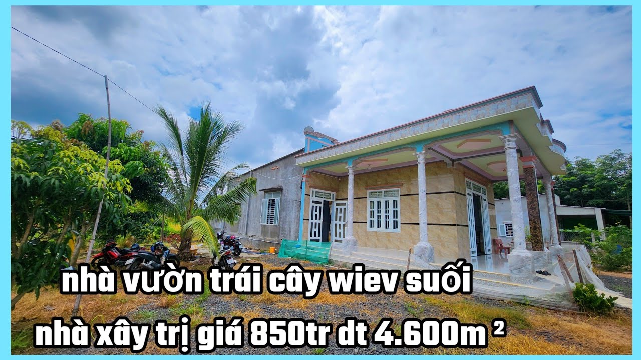 Nhà vườn trái cây wiev suối mặt tiền nhựa lớn dân cư đông 29×100 nở hậu dt 4.600,0m² full hồng tc 