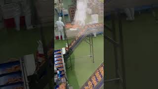 Lini produksi pengemasan sosis otomatis #mesin pengisi sosis komersial