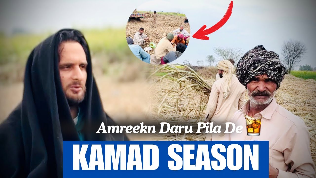 Money will start coming 😀Sugarcane season has begun — may God bless.#zaibihanjra #punjabi 