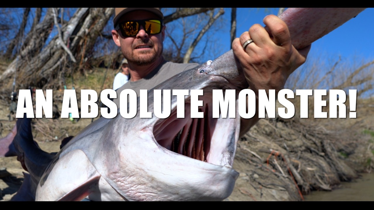 Paddlefish Snagging in North Dakota 2025