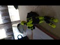 Hotels Part 1
