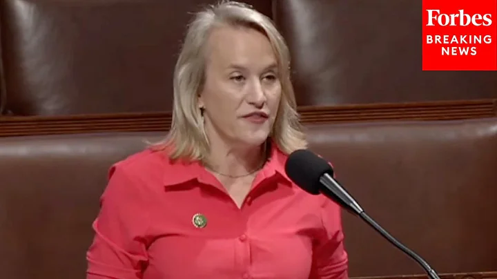 Nikki Budzinski: Energy And Water Appropriations Bill 'Strips Away Critical Resources' From Projects