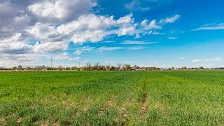 1201 S Ave K, Hereford, TX 79045