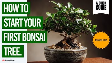 “How to Start Your First Bonsai Tree.” (“Step-by-Step for Beginners)”