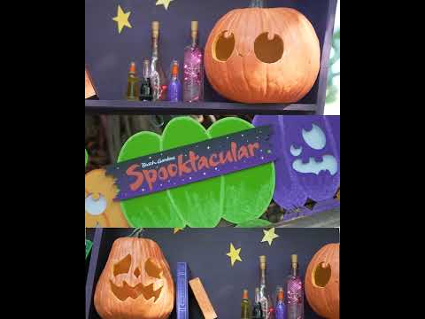 All-New Spooktacular | Busch Gardens Tampa Bay